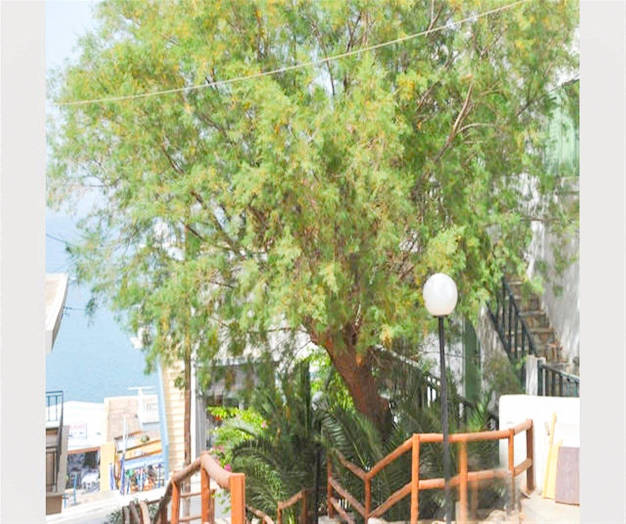 Elounda Collection Apartments Eksteriør bilde